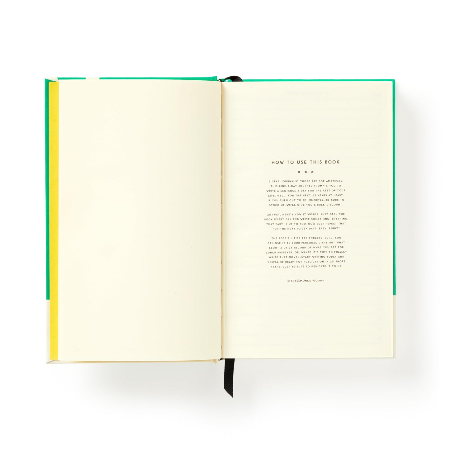 A Life Sentence: A Line-A-Day Journal For The Next 25 Years