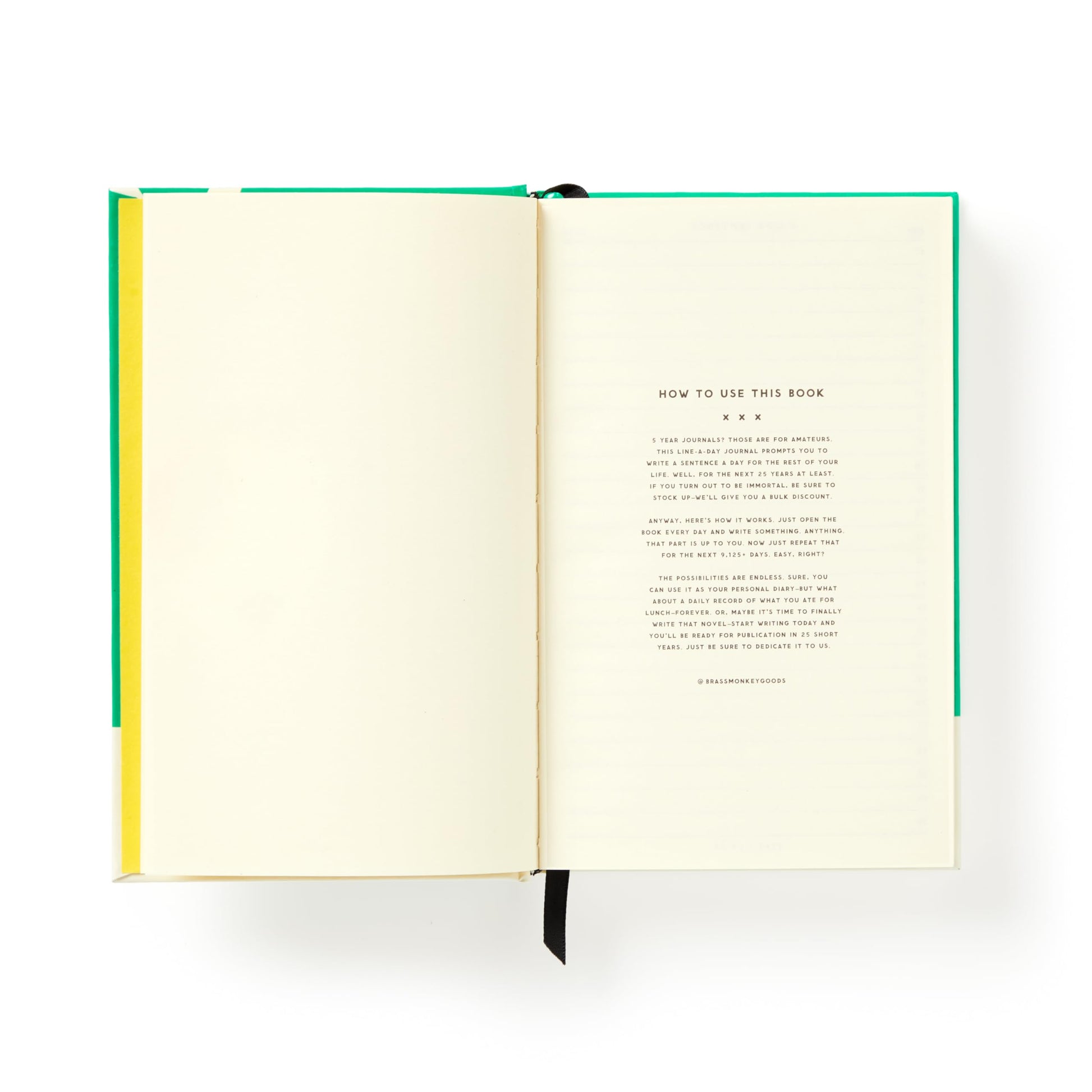 A Life Sentence: A Line-A-Day Journal For The Next 25 Years