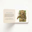 Aesop's Fables Oversized Padded Board Book: The Classic Edition