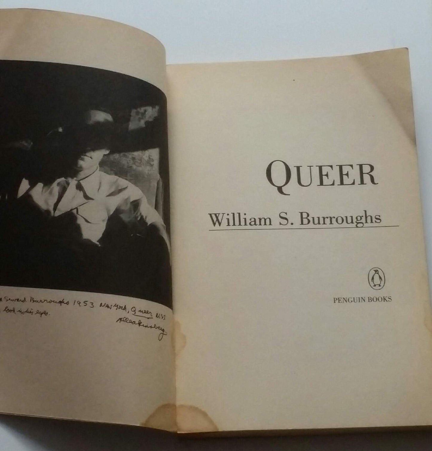 Queer: A Novel