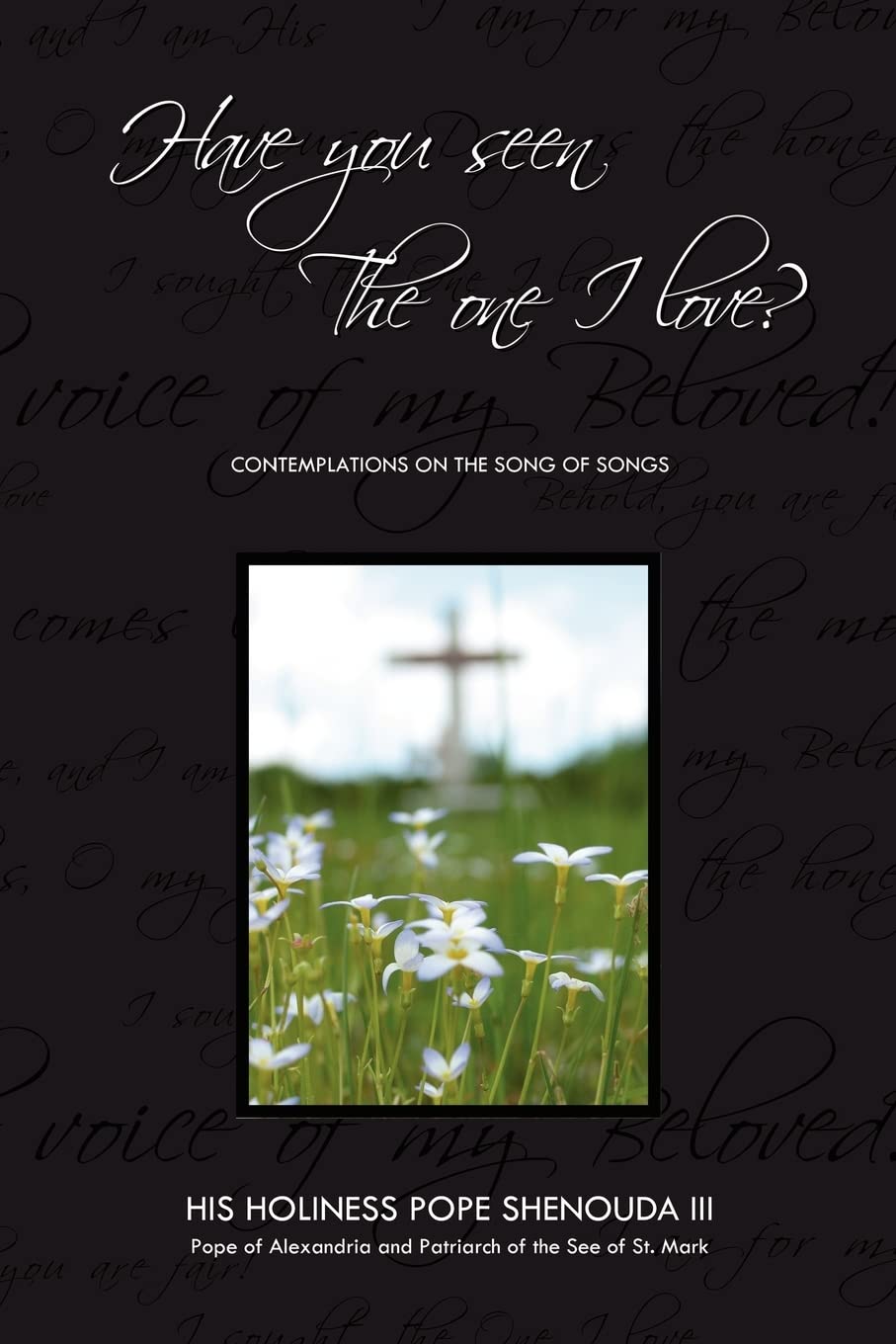 Have You Seen the One I Love: Contemplations on the Song of Songs