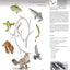 The Dissection of Vertebrates