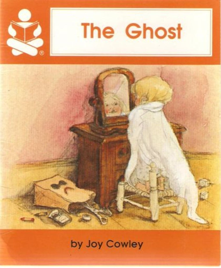 The Ghost by Danielle Steel (Paperback, 1998)