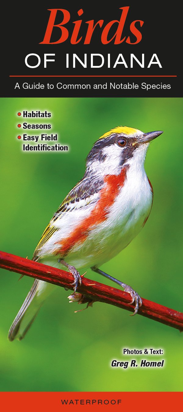 Birds of Indiana: A Guide to Common and Notable Species