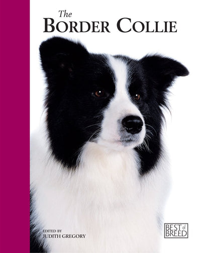 The Border Collie (Best Of Breed)