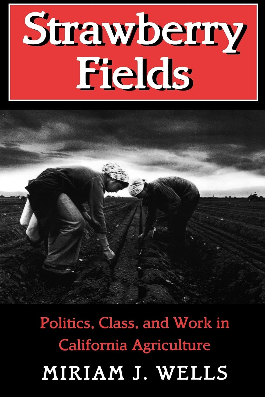 Strawberry Fields: Politics, Class, and Work in California Agriculture (The Anthropology of Contemporary Issues)