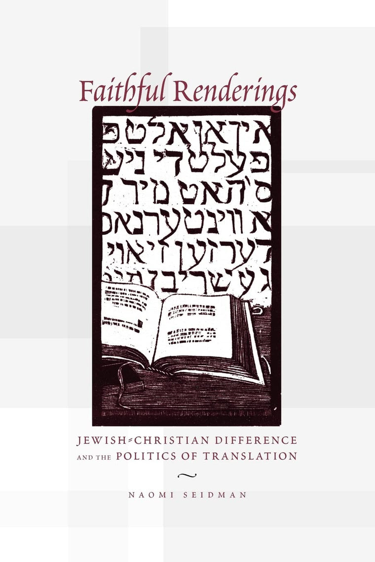 Faithful Renderings: Jewish-Christian Difference and the Politics of Translation (Afterlives of the Bible)