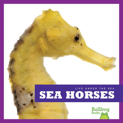 Sea Horses (Bullfrog Books: Life Under the Sea)