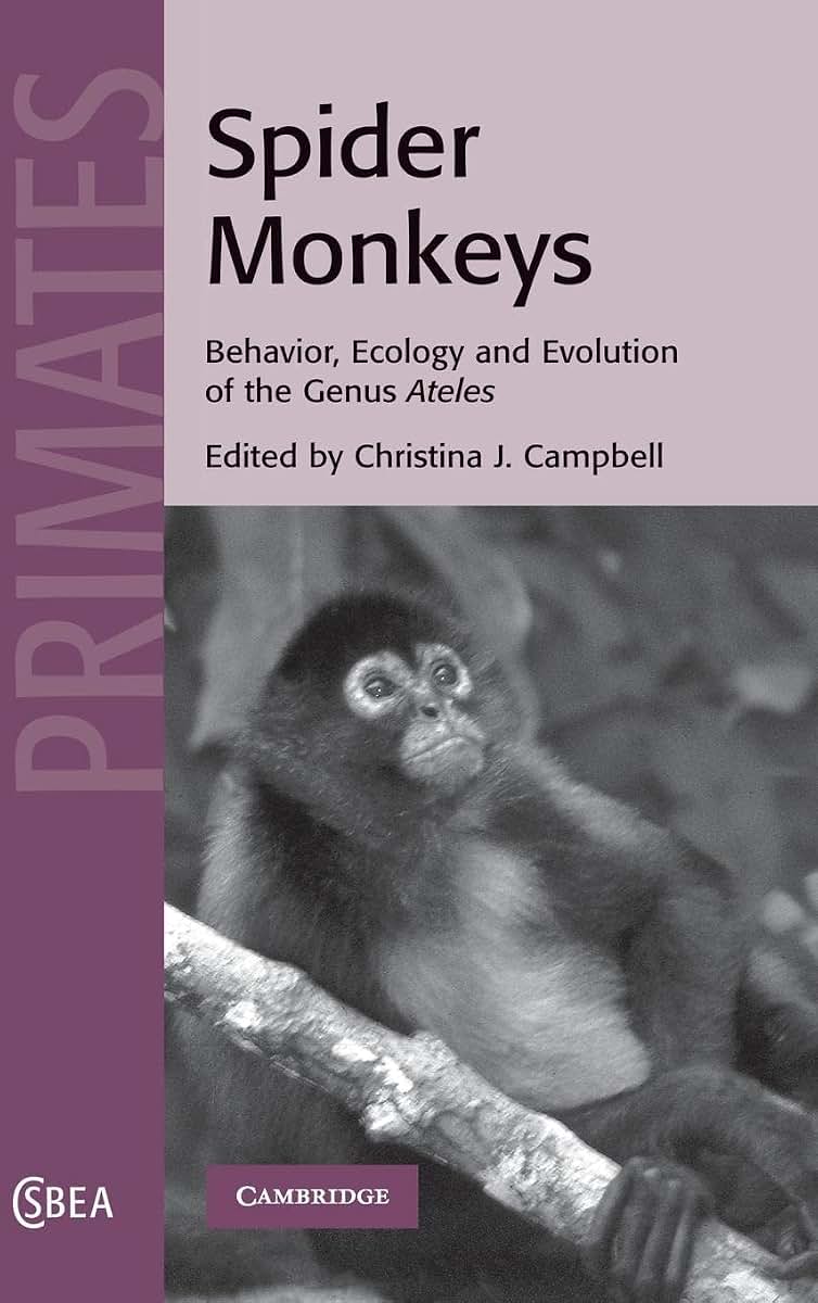 Spider Monkeys: Behavior, Ecology and Evolution of the Genus Ateles (Cambridge Studies in Biological and Evolutionary Anthropology, Series Number 55)