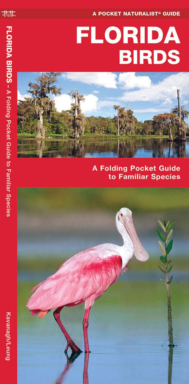 Florida Birds: A Folding Pocket Guide to Familiar Species (Nature Observation North America)