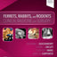 Ferrets, Rabbits, and Rodents: Clinical Medicine and Surgery