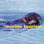 Marine Tourism (Routledge Advances in Tourism)
