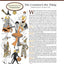 Vintage Notions: An Inspirational Guide to Needlework, Cooking, Sewing, Fashion and Fun