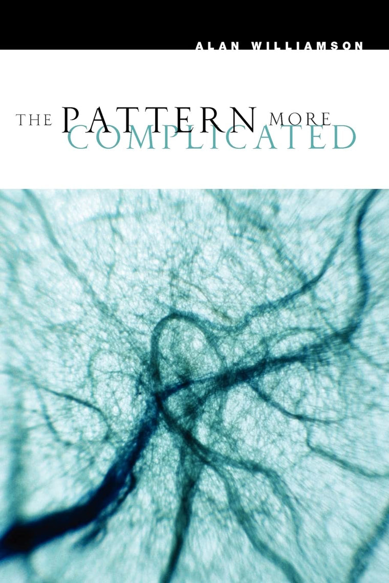 The Pattern More Complicated: New and Selected Poems (Phoenix Poets)