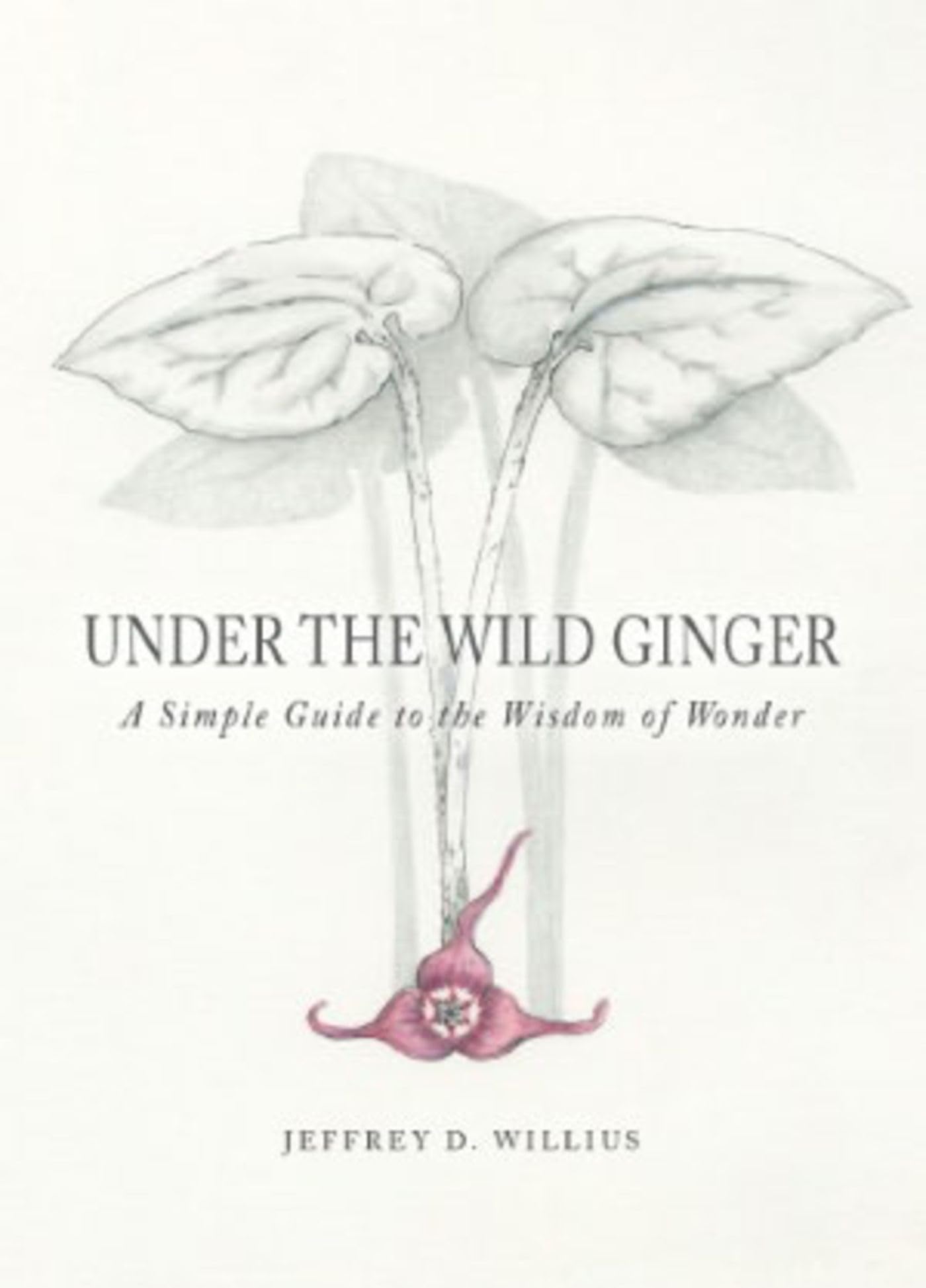 Under the Wild Ginger: A Simple Guide to the Wisdom of Wonder