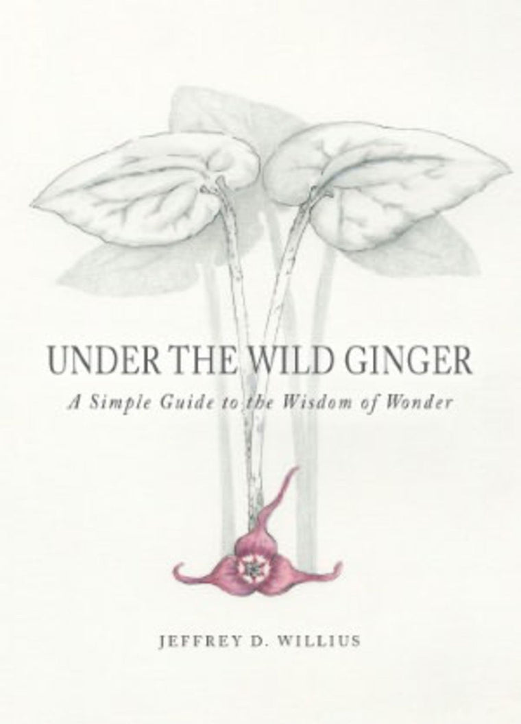 Under the Wild Ginger: A Simple Guide to the Wisdom of Wonder