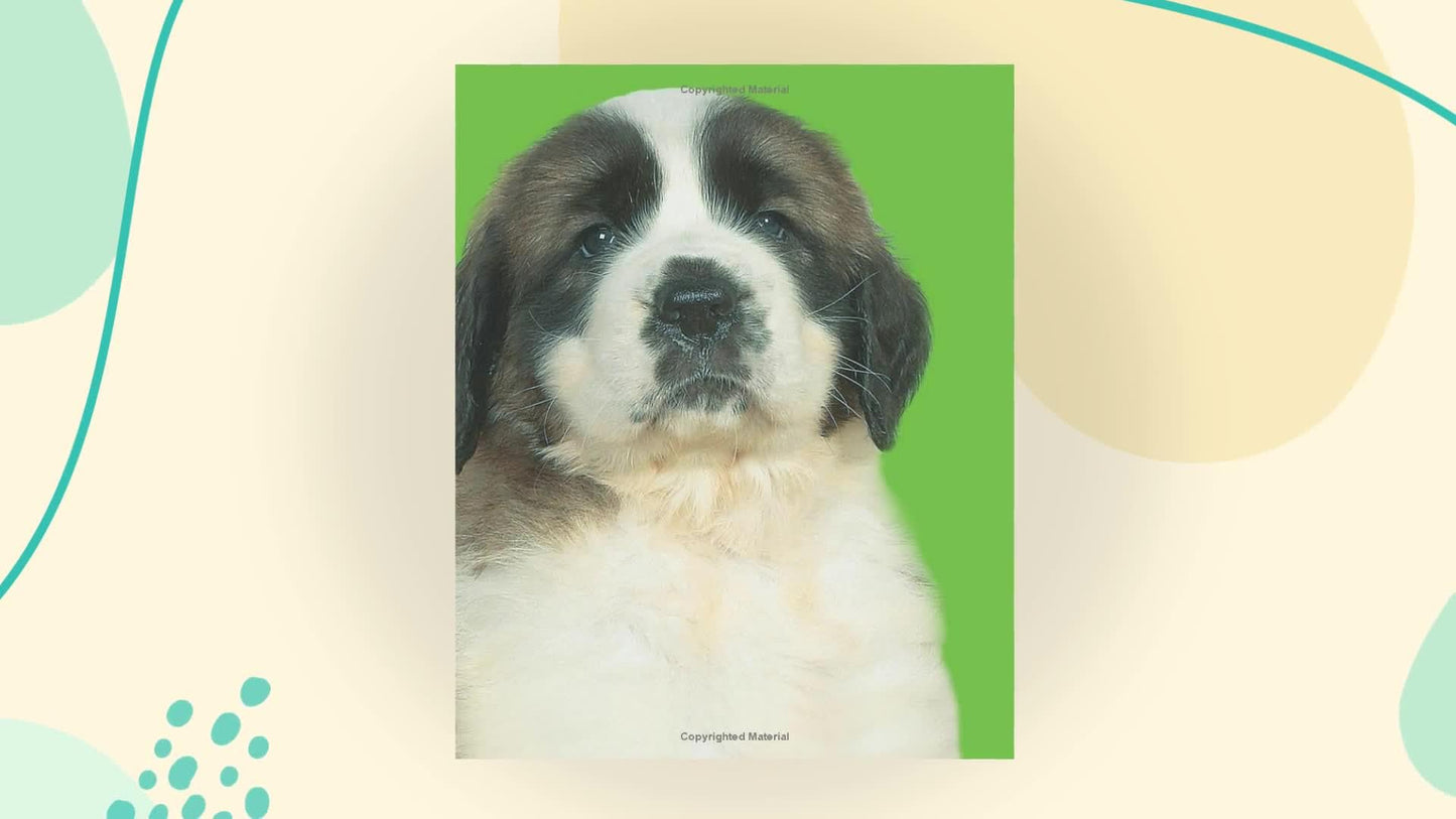 Bright Baby Touch & Feel Perfect Pets (Bright Baby Touch and