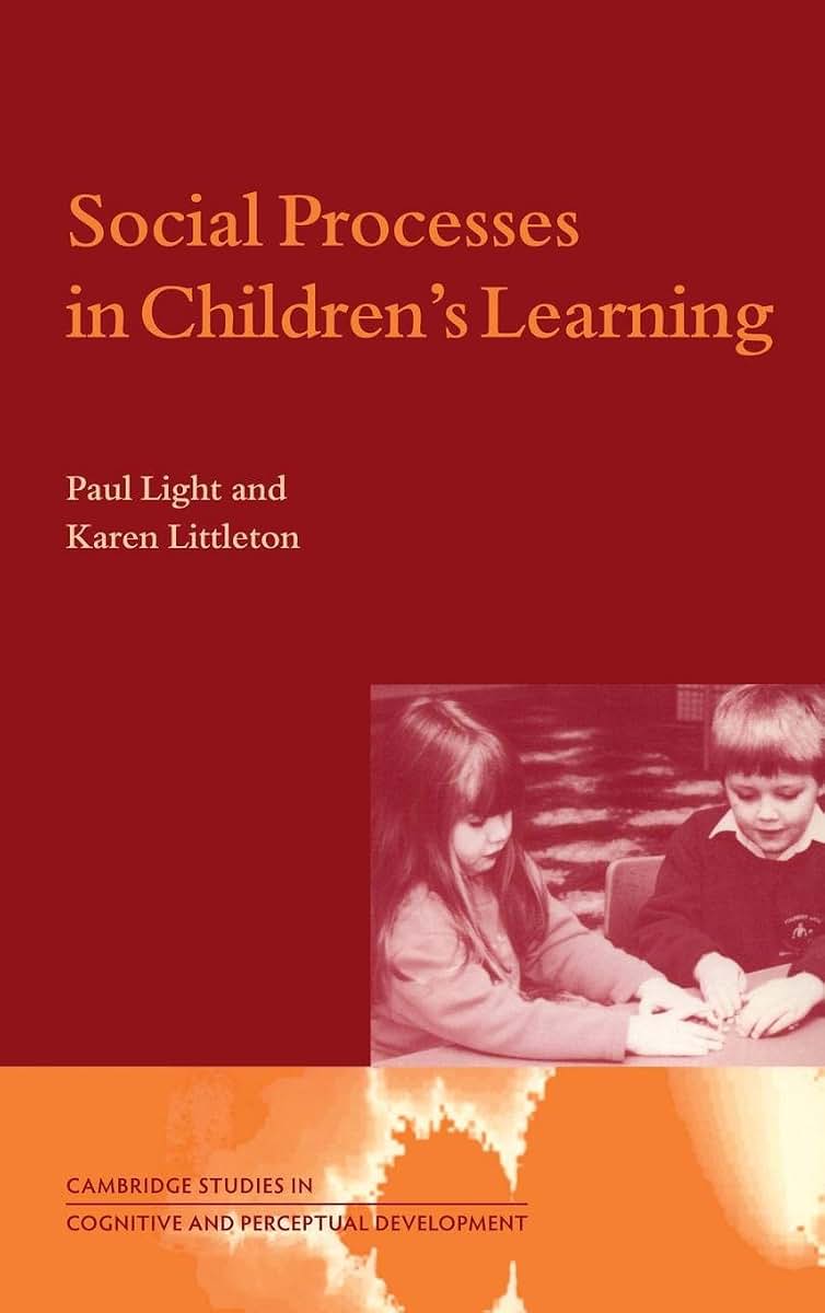 Social Processes in Children's Learning (Cambridge Studies in Cognitive and Perceptual Development, Series Number 4)