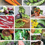 How to Garden Indoors & Grow Your Own Food Year Round: Ultimate Guide to Vertical, Container, and Hydroponic Gardening (Creative Homeowner) Vegetables, Herbs, DIY Projects, Composting, Lights, & More