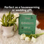 The Elements of a Home: Curious Histories behind Everyday Household Objects, from Pillows to Forks (Home Design and Decorative Arts Book, History Buff Gift)