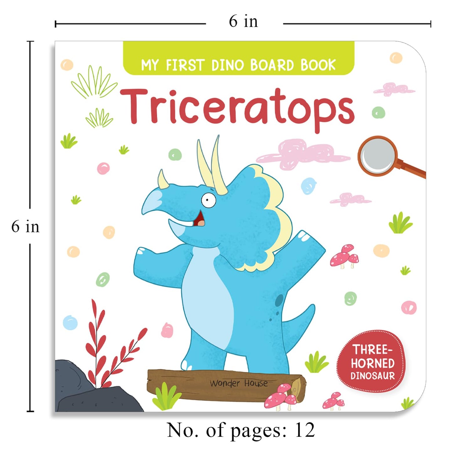 My First Board Books: Dinosaurs: 8 Books Boxed Set (My First Books)