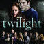 Twilight: The Complete Illustrated Movie Companion by Cotta