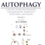 Autophagy: Cancer, Other Pathologies, Inflammation, Immunity, Infection, and Aging: Volume 9: Human Diseases and Autophagosome