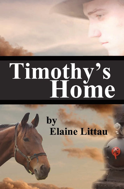 Timothy's Home: Nan's Heritage Series