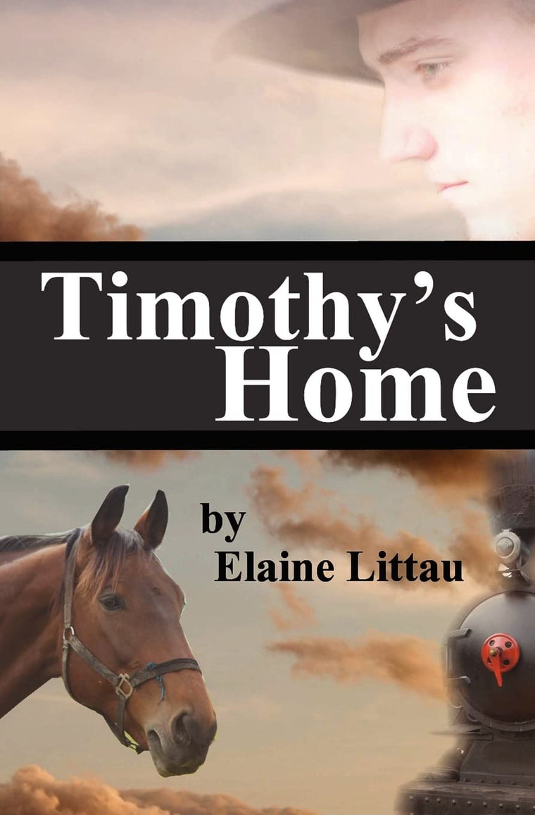 Timothy's Home: Nan's Heritage Series
