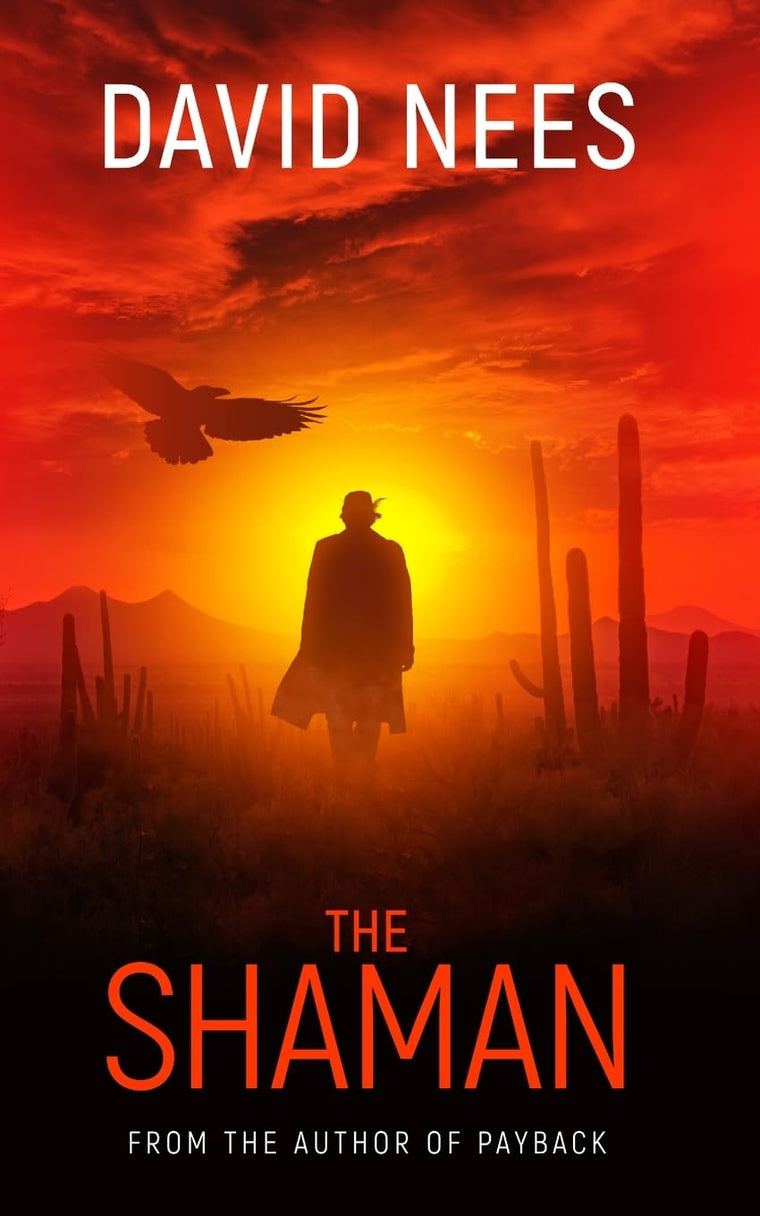 The Shaman: Book Two in the Dan Stone Series (Assassin Series)
