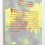 From Earth to Herbalist: An Earth-Conscious Guide to Medicinal Plants