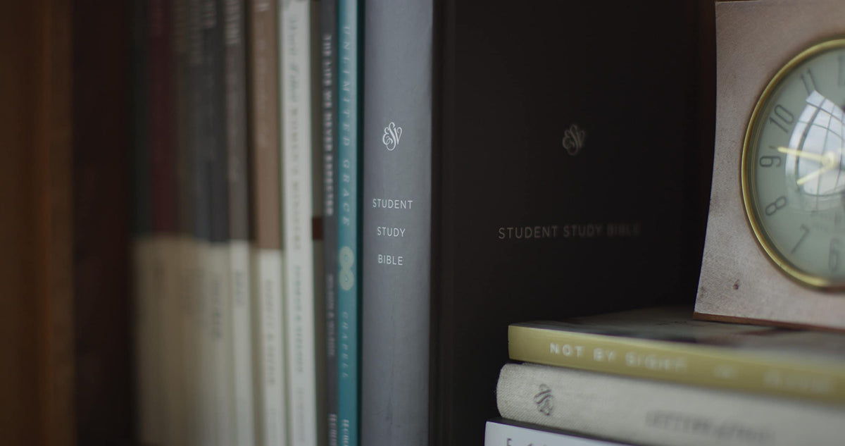 ESV Student Study Bible (Hardcover, Gray): Holy Bible, English Standard Version