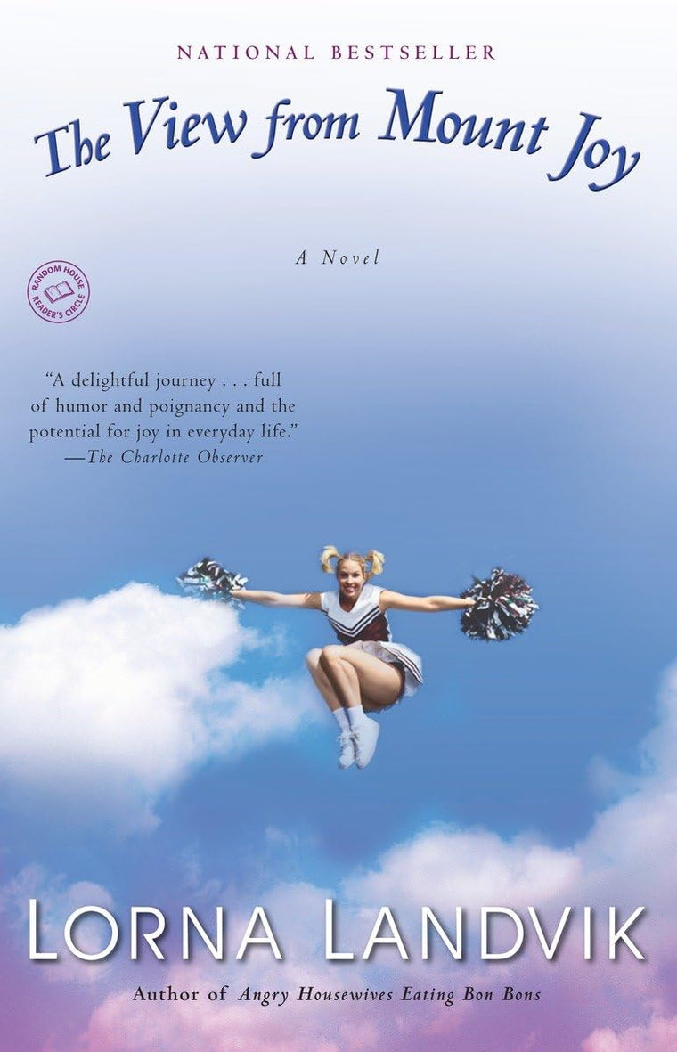 The View from Mount Joy: A Novel