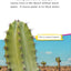 Inside a Plant (Science Readers: Content and Literacy)