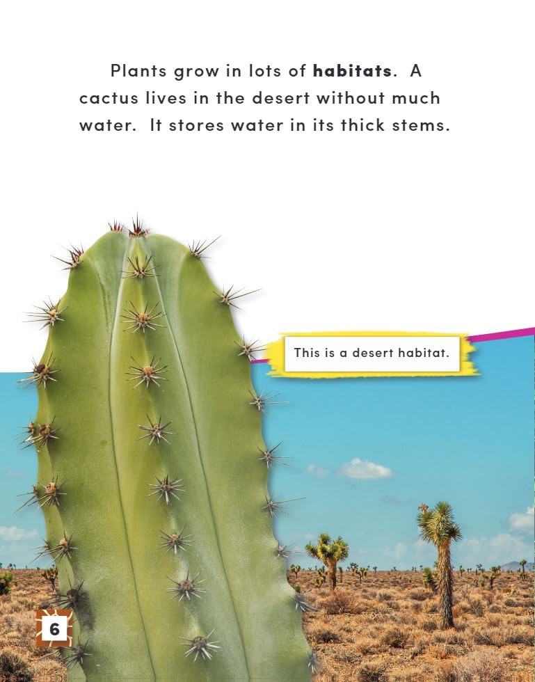 Inside a Plant (Science Readers: Content and Literacy)