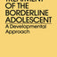 Treatment Of The Borderline Adolescent