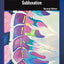 Foundations of Chiropractic: Subluxation