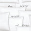 The Secret World of Sleep: The Surprising Science of the Mind at Rest (MacSci)
