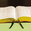 NIV, The Grace and Truth Study Bible (Trustworthy and Practical Insights), Leathersoft, Brown, Red Letter, Comfort Print