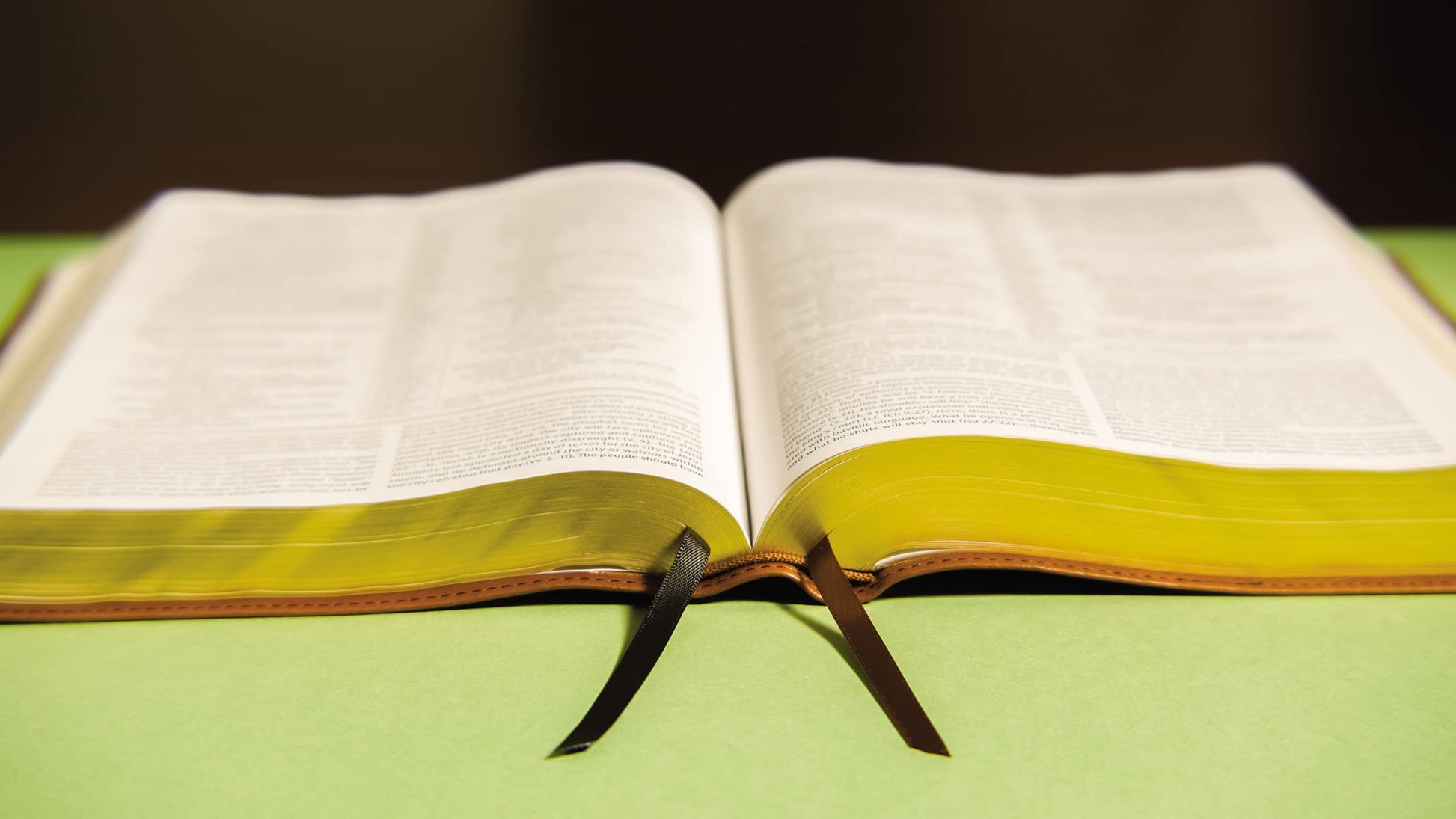 NIV, The Grace and Truth Study Bible (Trustworthy and Practical Insights), Leathersoft, Brown, Red Letter, Comfort Print