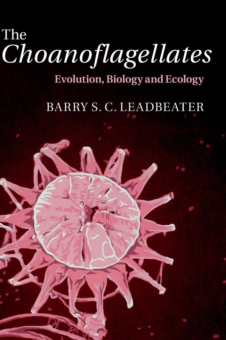 The Choanoflagellates: Evolution, Biology and Ecology