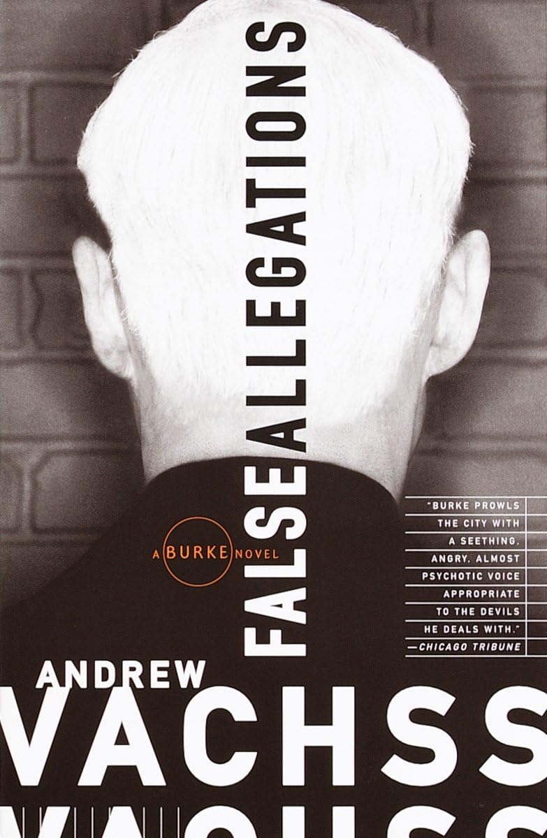 False Allegations: A Burke Novel