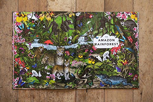 The Wonder Garden: Wander through 5 habitats to discover 80 amazing animals