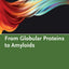 FROM GLOBULAR PROTEINS TO AMYLOIDS