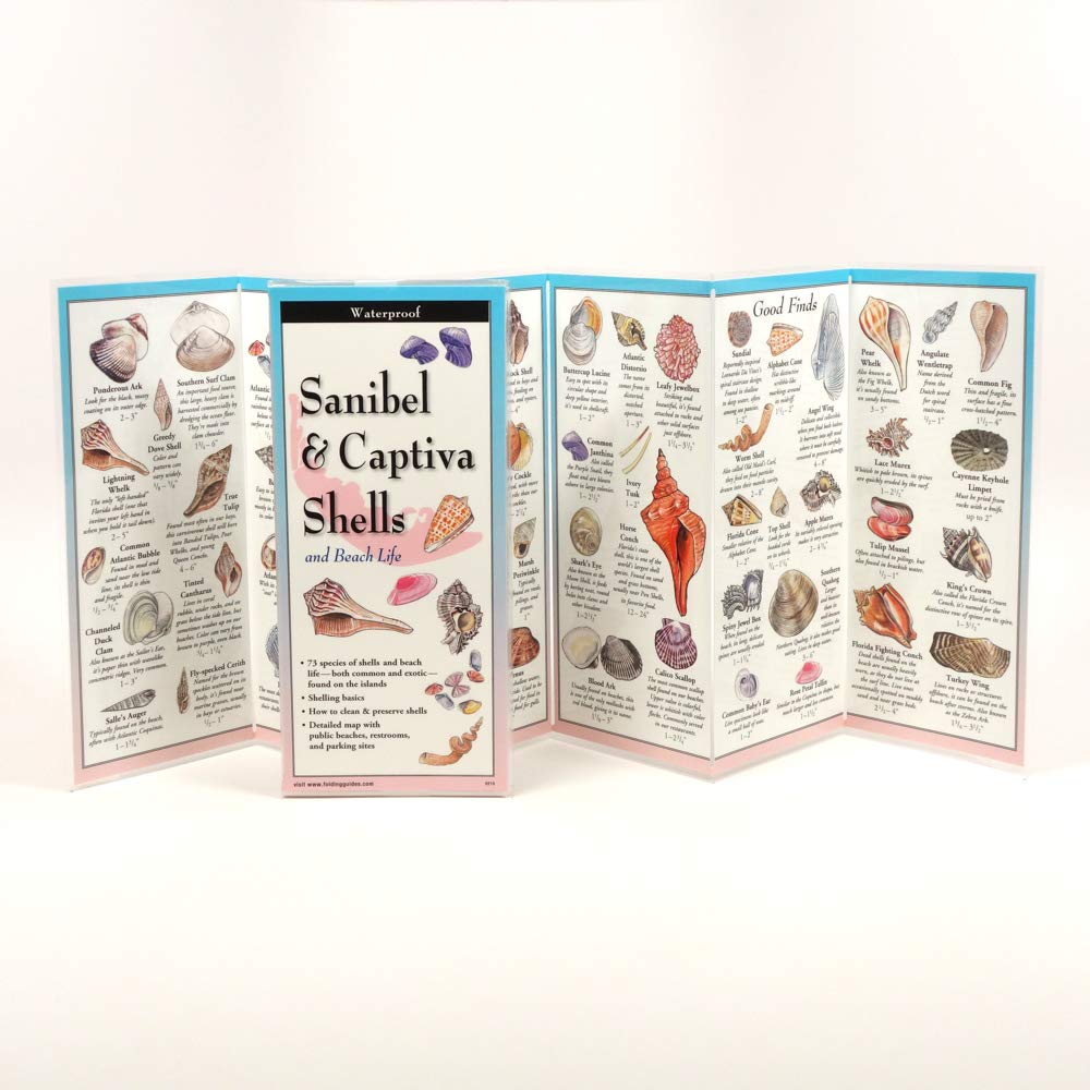 Sanibel & Captiva Shells and Beach Life (Foldingguides)
