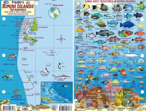 Bimini Islands Bahamas Dive Map & Reef Creatures Waterproof Fish Card