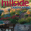 Hillside Landscaping: A Complete Guide to Successful Gardens