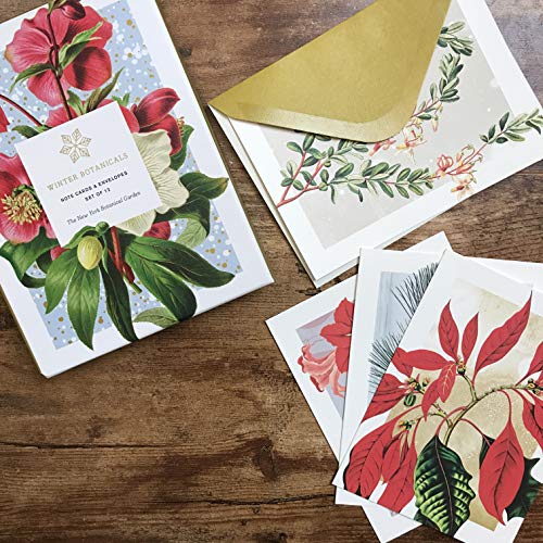 Winter Botanicals: Note Cards and Envelopes: Set of 12 (New York Botanical Garden)