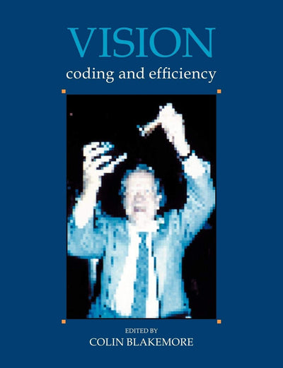 Vision: Coding and Efficiency