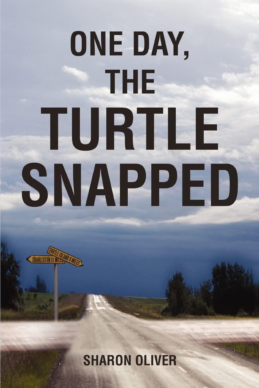 ONE DAY, THE TURTLE SNAPPED